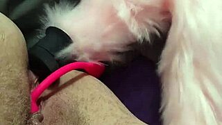 chubby fox takes double penetration from two studs