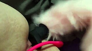 chubby fox takes double penetration from two studs