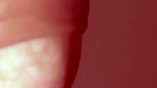 ever wonder how my sister-in-law slurps my cock so deep, uncensored? close-up cumshot finish