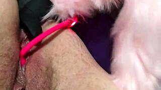 chubby fox takes double penetration from two studs