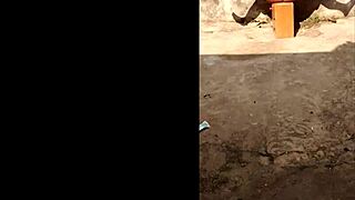 elvie films slutty outdoor masturbation phone compilation part 2
