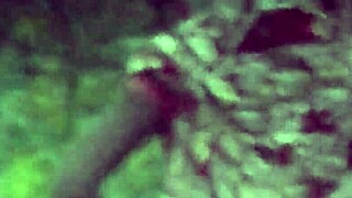 desi lady squats low to piss in steamy close-up view
