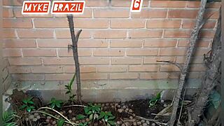 fernanda chocolate's huge ass gets serviced she begs for mouth cream full vid on sheer