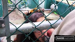 caged kitty takes bbc in big pussy hardcore
