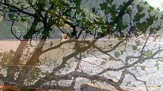 Sucking Big Cock Leads Brunette Milf to Beach Anal Creampie