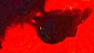 Wife's Expert Side-View Cock Sucking Red Light Pro