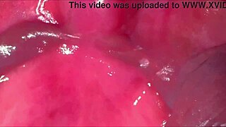 Watch this amateur asian milf's shaved pink pussy up close after 269 days