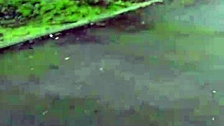 Candid blue jeans walking footage
