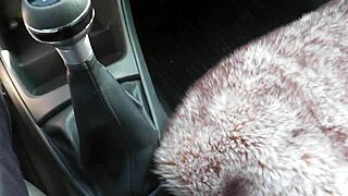 Nude milf neighbor washes windows while taxi driver watches