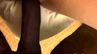 Bailey Blisss Rides Sean Foot Long Cock With Daredevil Attitude