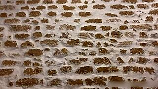 Nagy fasz baszás összeállítás Tommy Cabrióval és Apolonia Lapiedrával