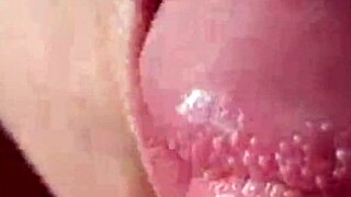 Vahşi Afrikalı amatörleri dışarıda sevişirken gördün mü? Saf ateş!