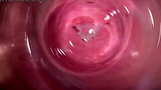 相机近距离捕捉湿润奶油般阴道