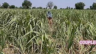 कोमल खेत में पेशाब कर रही थी जब मालिक चुपके से आया और घर ले गया मजा के लिए 😜